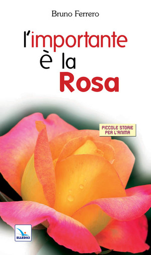 L' importante è la rosa