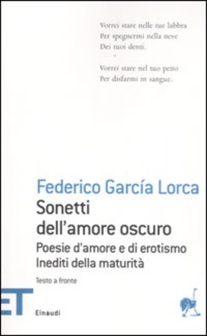 Sonetti dell'amore oscuro. Poesie d'amore e di erotismo. Inediti della maturità. Testo spagnolo a fronte