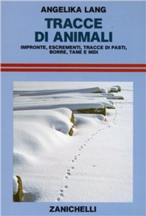 Tracce di animali