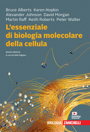 L' essenziale di biologia molecolare della cellula. Con Contenuto digitale (fornito elettronicamente)