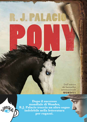 Pony Pony