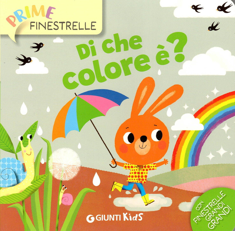 Di che colore è? Ediz. a colori