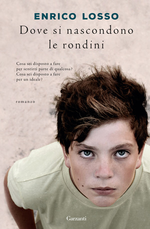 Dove si nascondono le rondini Dove si nascondono le rondini