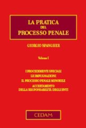 La pratica del processo penale