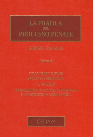 La pratica del processo penale