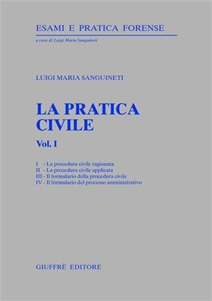La pratica civile