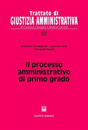 Il processo amministrativo di primo grado