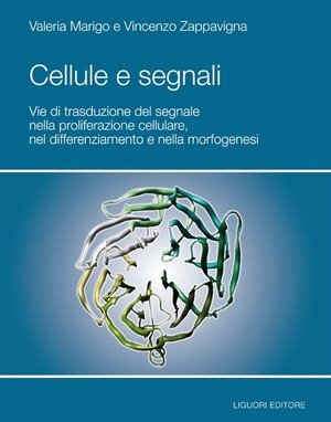 Cellule e segnali. Vie di trasduzione del segnale nella proliferazione cellulare e nella morfogenesi
