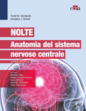 Nolte. Anatomia del sistema nervoso centrale
