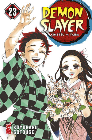 Demon slayer. Kimetsu no yaiba