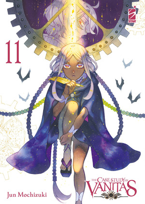 The case study of Vanitas