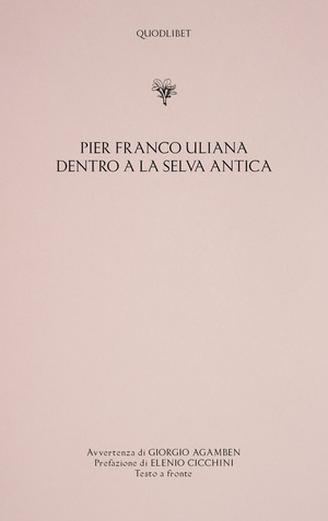 Dentro a la selva antica