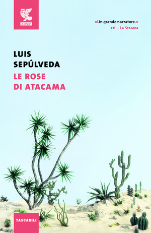 Le rose di Atacama