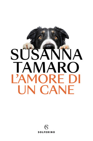 L' amore di un cane