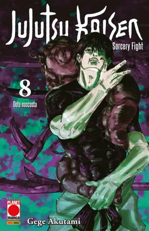 Jujutsu Kaisen. Sorcery Fight