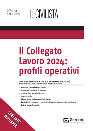 Il collegato lavoro 2024: profili operativi