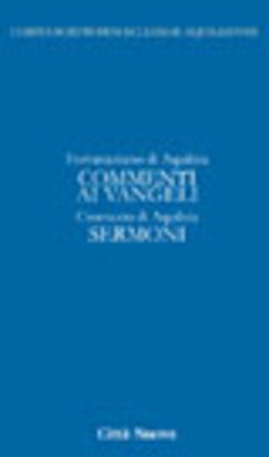 Commento ai vangeli. Sermoni