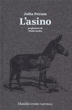 L' asino