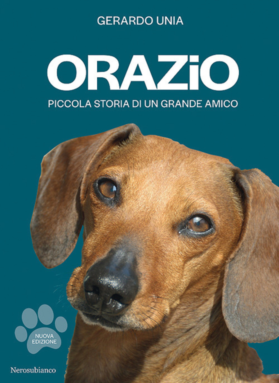 4/quarti - Carrisi, Longo, Baricco, Dandini: i libri più interessanti  questa settimana in libreria - Raccontati Libri - Podcast en iVoox