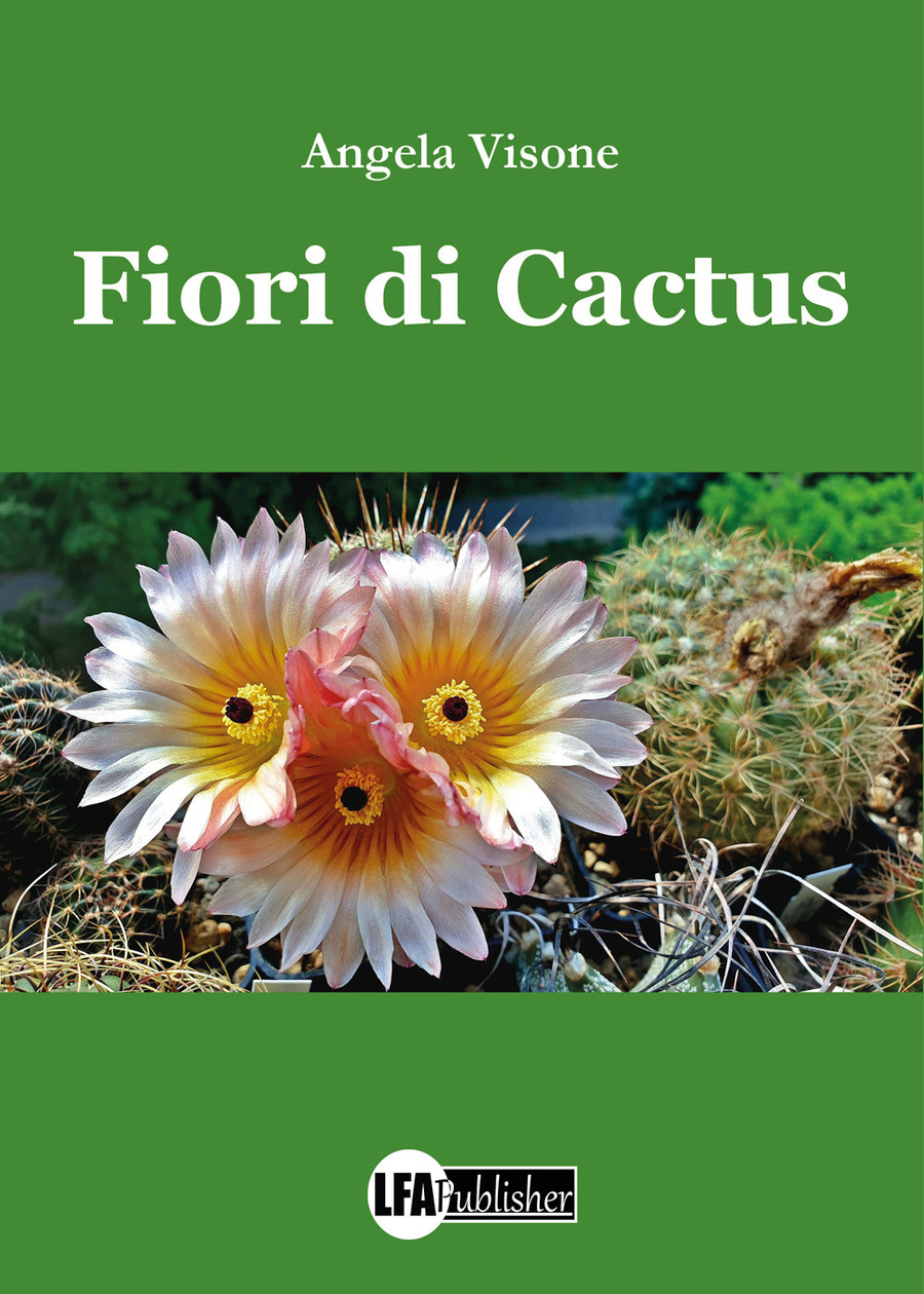 Kit di blocchi di costruzione di fiori di tarassaco creativo, giocattolo di  fiori di blocchi di costruzione, fiore di cactus, blocco di costruzione di  fiori creativi per la decorazione domestica, giocattolo di