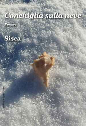 Conchiglia sulla neve