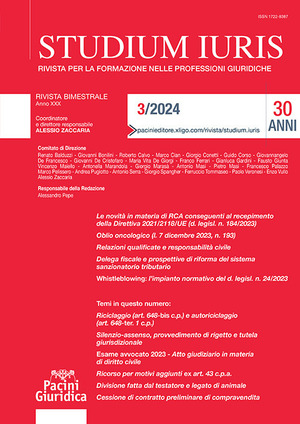 Studium iuris. Rivista per la formazione nelle professioni giuridiche (2024)