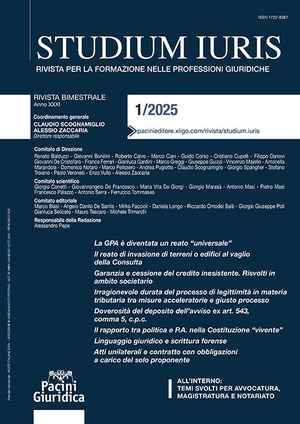 Studium iuris. Rivista per la formazione delle professioni giuridiche (2025)
