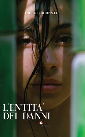 L' entità dei danni