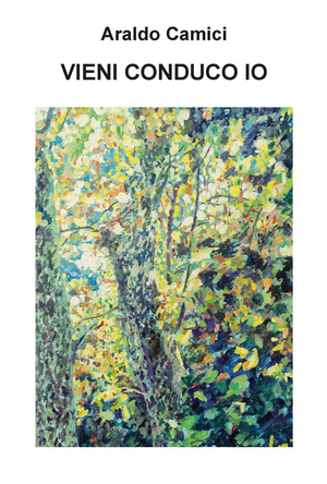 Vieni conduco io