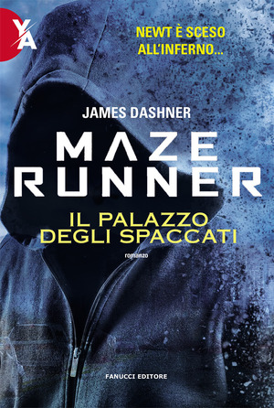 Il palazzo degli spaccati. Maze Runner