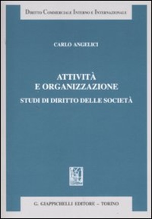 Attività e organizzazione. Studi di diritto delle società