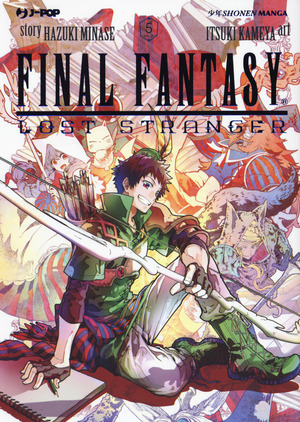 Final Fantasy. Lost stranger