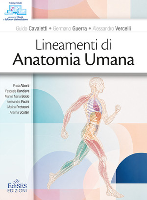 Lineamenti di anatomia umana