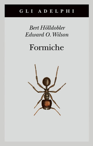 Formiche. Storia di un'esplorazione scientifica