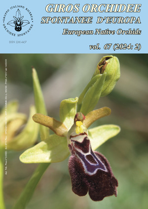 Giros. Orchidee spontanee d'Europa (2024). Ediz. illustrata