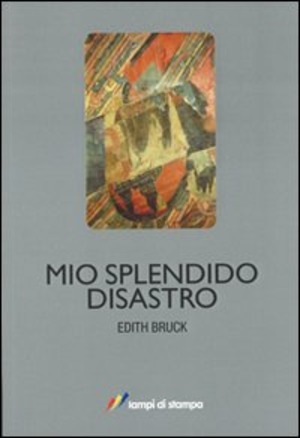 Mio splendido disastro
