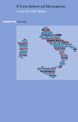 Il Terzo Settore nel Mezzogiorno