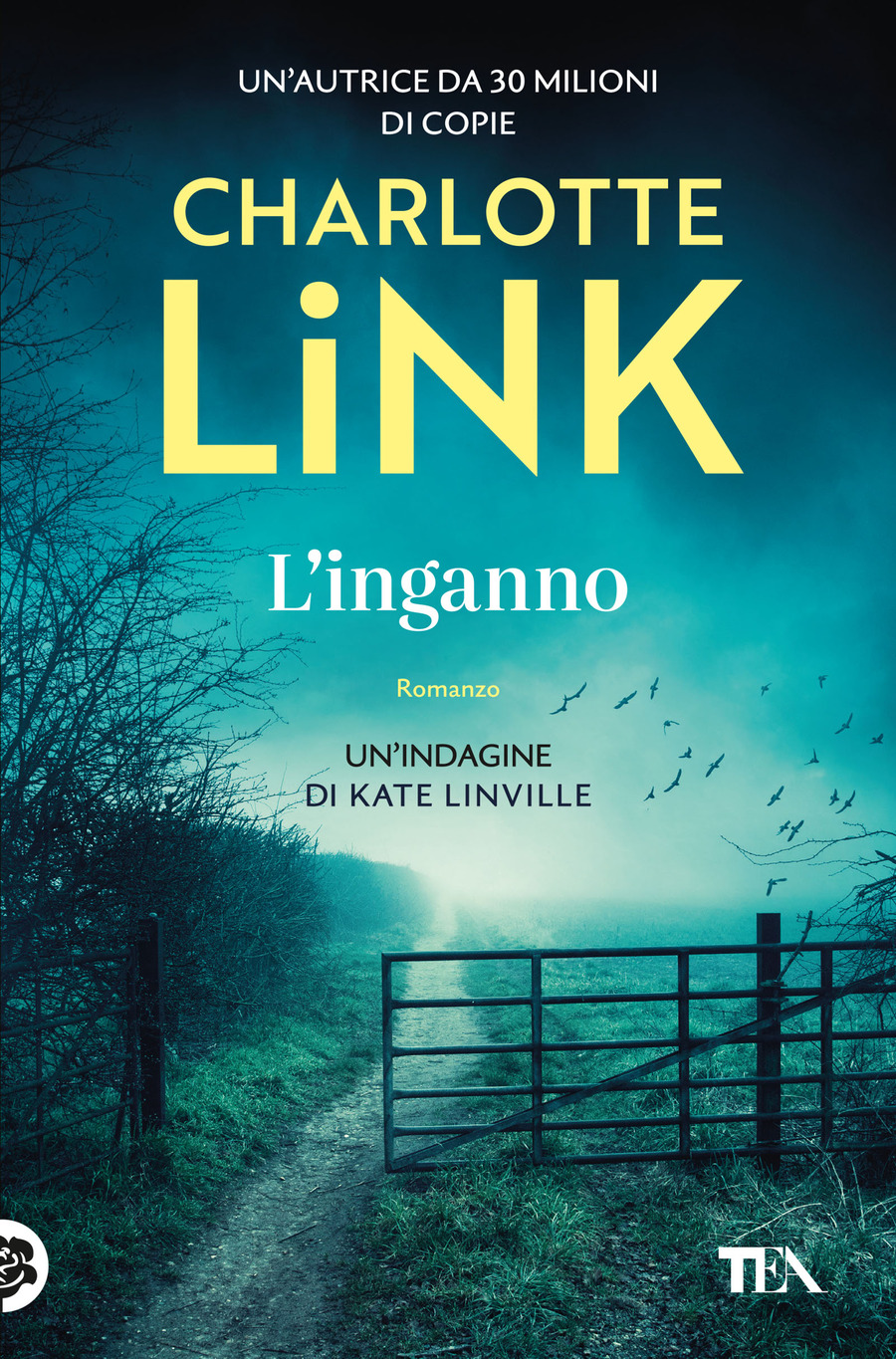 L' inganno. Le indagini di Kate Linville
