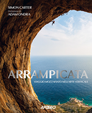 Arrampicata. Viaggio mozzafiato nell'arte verticale. Ediz. illustrata
