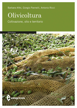 Olivicoltura. Coltivazione, olio e territorio