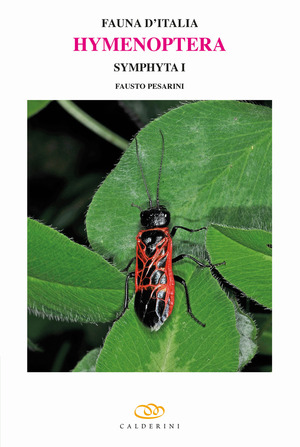 Hymenoptera. Symphyta