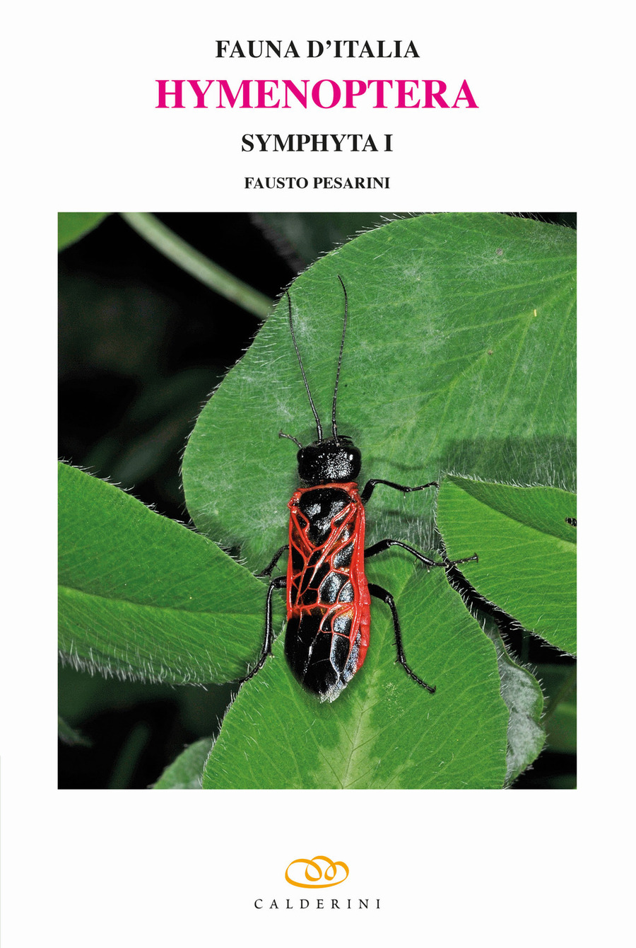 Hymenoptera. Symphyta