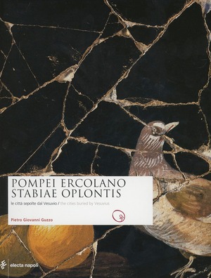 Pompei, Ercolano, Stabiae, Oplontis. Le città sepolte dal Vesuvio-The cities buried by Vesuvius