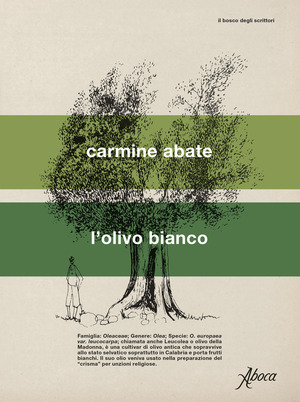 L' olivo bianco L' olivo bianco
