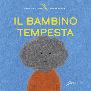 Il bambino tempesta. Ediz. a colori