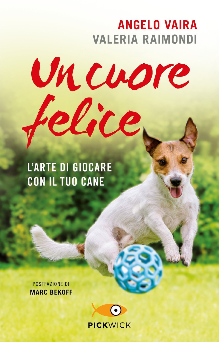 Come giocare con il cane?