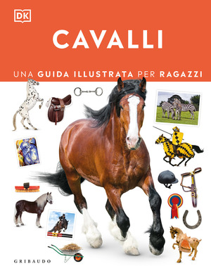 Cavalli. Una guida illustrata per ragazzi