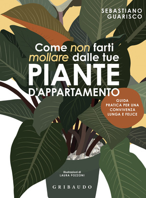 Come non farti mollare dalle tue piante d'appartamento. Guida pratica per una convivenza lunga e felice