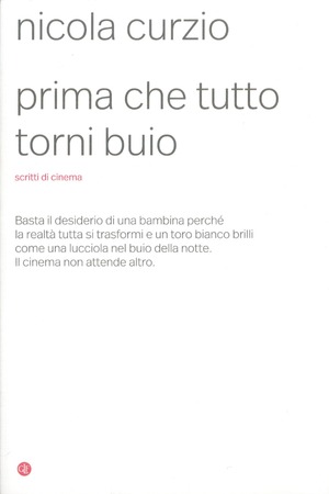 Prima che tutto torni buio. Scritti di cinema