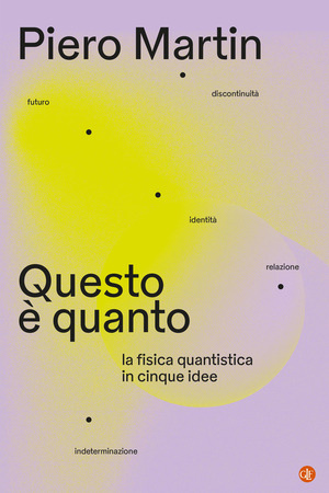 Questo è quanto. La fisica quantistica in cinque idee